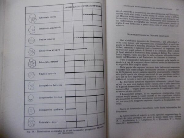 MIOCENE SIRACUSANO STRATIGRAFIA MICROPALEONTOLOGICA BOLLETTINO SOC.GEOLOGICA ITAL. 1958 FASCICOLO 1