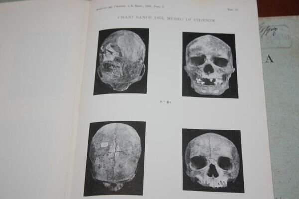 DATI CRANIOLOGICI SUI SANDE' ALDOBRANDINO MOCHIARCHIVIO PER L'ANTROPOLOGIA E LA …