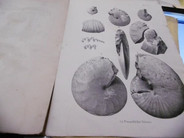 SICILIA PER L'ENFITEUSI DEI TERRENI ECCLESIASTICI SIMONE CORLEO GIORNALE SCIENZE …
