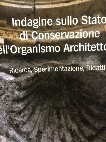 Indagine sullo Stato di Conservazione dell'Organismo Architettonico