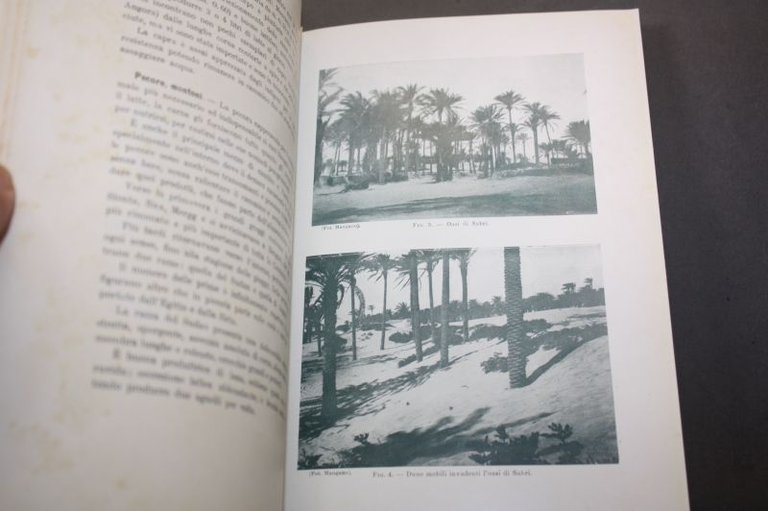 APPUNTI DI AGRICULTURA BENGASINA CIRENAICA 1912 CARLO MANETTI
