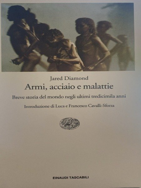 ARMI ACCIAIO EM MALATTIE JARED DIAMOND | Immagine principale
