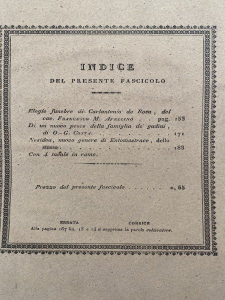 ATTI ACCADEMIA PONTANIANA FASCICOLO III DEL VOLUME V NAPOLI TORCHI …