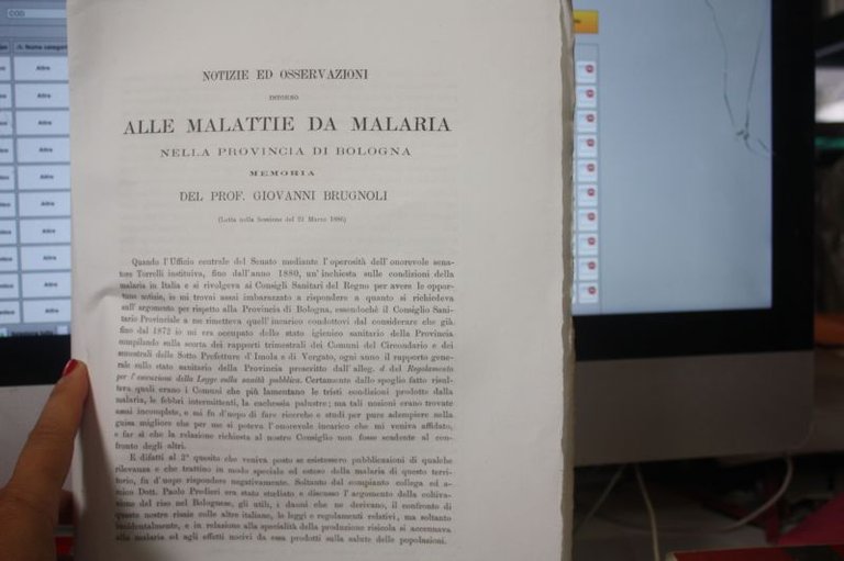 BOLOGNA MALLATTIE DA MALARI DI GIOVANNI BRUGNOLI 1886