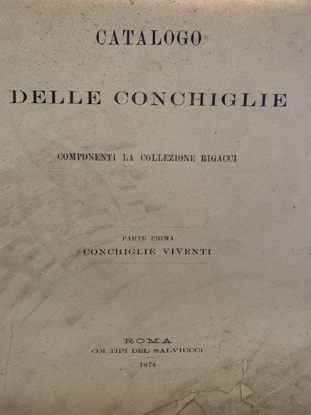 CATALOGO DELLE CONCHIGLIE COMPONENTO LA COLLEZIONE RIGACCI PARTE PRIMA CONCHIGLIE …