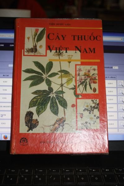 CAY THUOC VIET NAM MEDICINAL PLANTS IN VIET NAM HA …