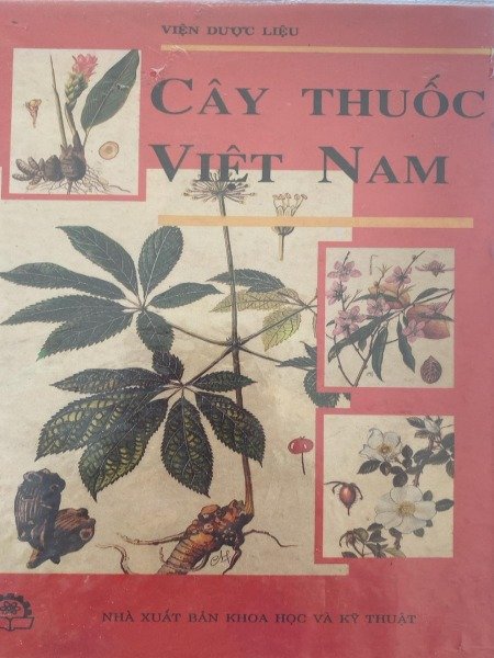 CAY THUOC VIET NAM MEDICINAL PLANTS IN VIET NAM HA …
