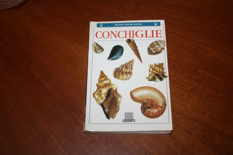 CONCHIGLIE CESARE CONCI E FERNANDO GHISOTTI ILLUSTRAZIONI DI NATALINO ARFELLI …