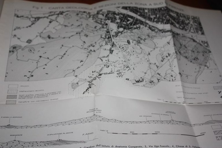 COSTITUZIONE GEOLOGICA E FRANOSITA' DEI COLLI FIORENTINI A SUD DELL'ARNO …