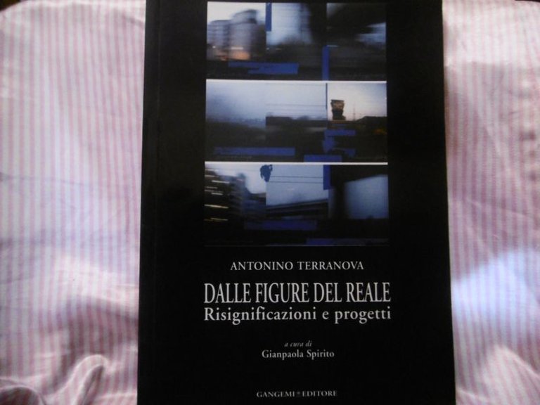 DALLE FIGURE DEL REALE ANTONINO TERRANOVA A CURA DI GIANPAOLA …