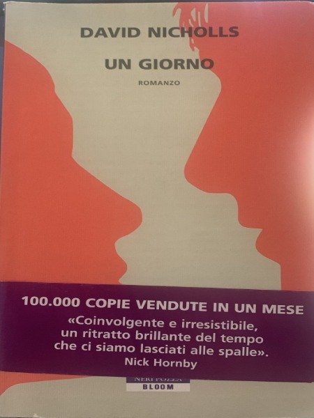 DAVID NICHOLLS UN GIORNO NERI POZZA 2010 | Immagine Gallery 3