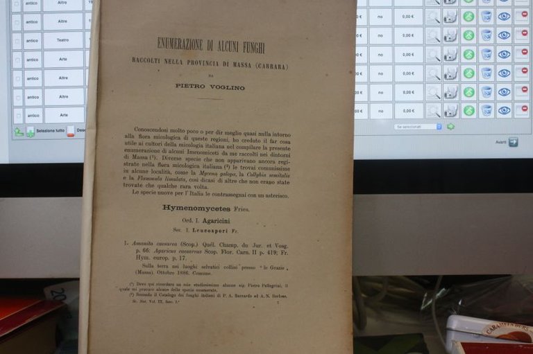 Enumerazione FUNGHI RACCOLTI NELLA PROVINCIA DI MASSA CARRARA DA PIETRO …