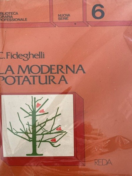 FIDEGHELLI C. MODERNA POTATURA. REDA