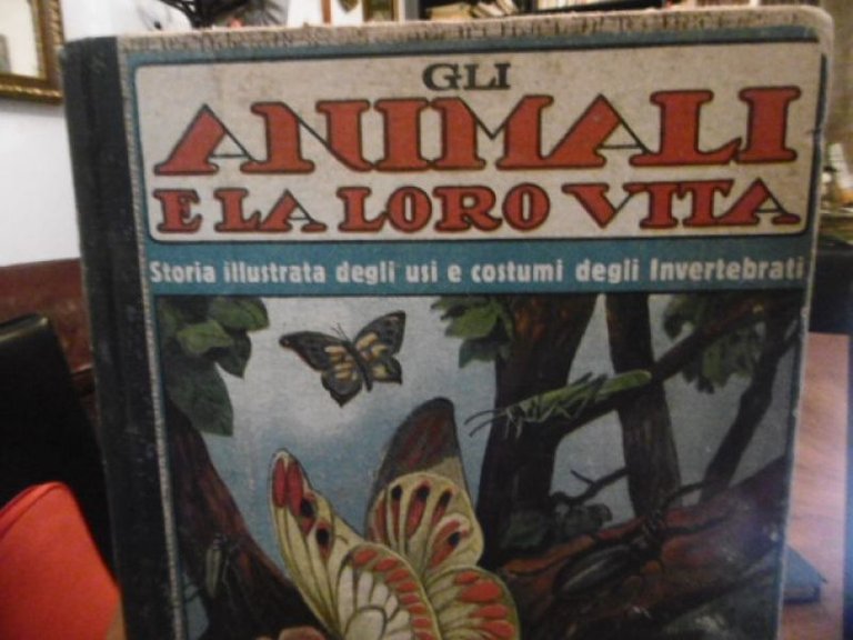 Gli Animali E La Loro Vita Storia Illustrata Degli Usi …