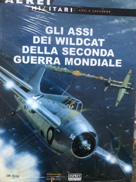GLI ASSI DEI WILDCAT DELLA SECONDA GUERRA MONDIALE DEL PRADO