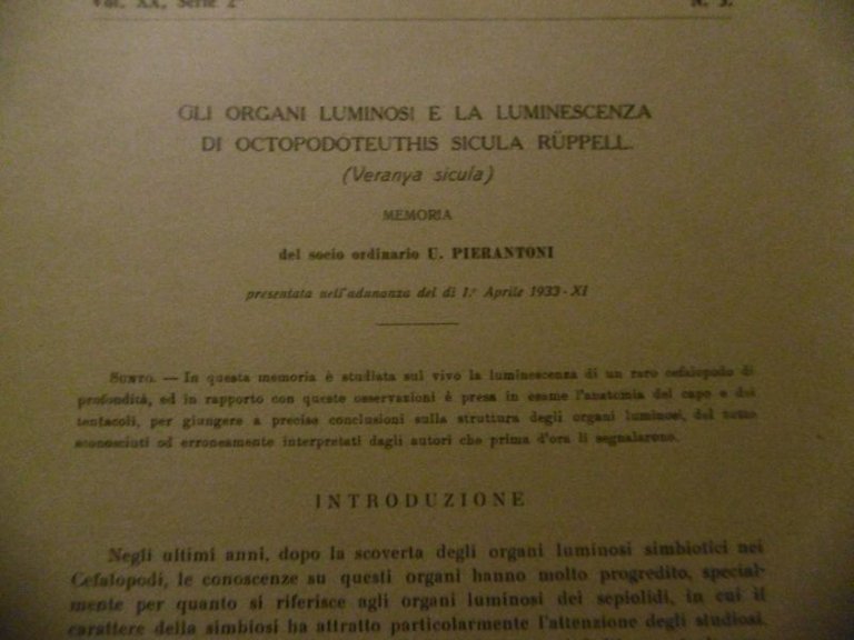 GLI ORGANI LUMINOSI E LA LUMINESCENZA DI OCTOPODOTEUTHIS SICULA RUPPELL …