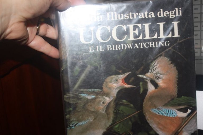 GUIDA ILLUSTRATA DEGLI UCCELLI E IL BIRDWATCHING -ARDLEY - VALLARDI