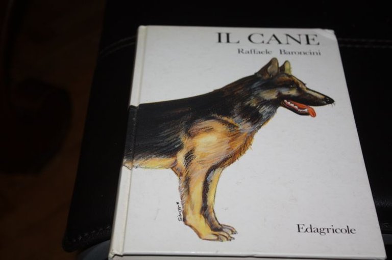 IL CANE RAFFAELE BARONCINI EDAGRICOLE 1993