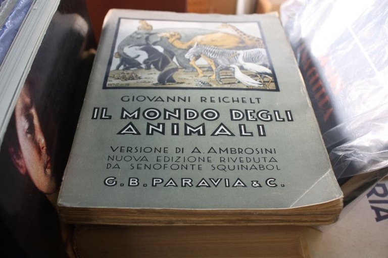 IL mondo degli animali giovanni reichelt paravia 1936