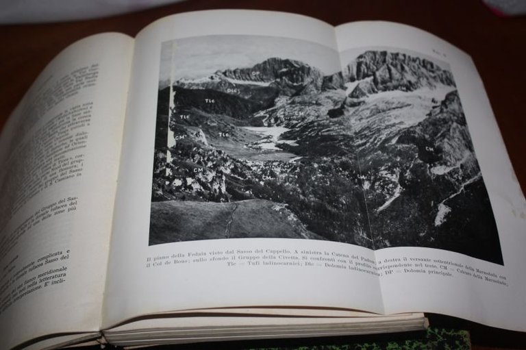 INTERPRETAZIONI TETTONICHE DELLE DOLOMITI TRATTO DA BOLLETTINO DELLA SOCIETA' GEOLOGICA …