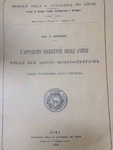 L'APPARATO DIGERENTE DEGLI ANFIBINELLE SUE AZIONI MORFOGENETICHECOTRONEI MEMORIE DELLA R.ACCADEMIA …