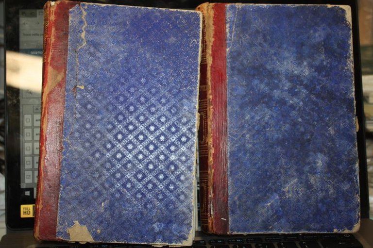 L'UOMO SOTTO LA LEGGE DEL SOVRANNATURALE 1881 GENOVA TIPOGRAFIA DELLA …