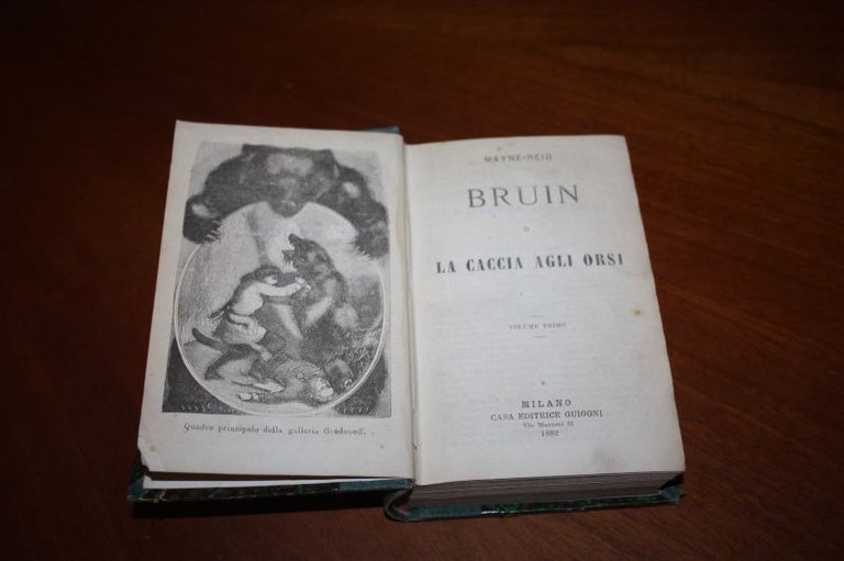 LA CACCIA AGLI ORSI BRUIN MAYNE REID GUIGONI 1882