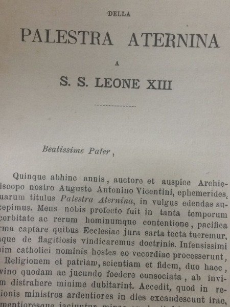 LA REDAZIONE DELLA PALESTRA ATERNINA A S.S. LEONE XIII LA …