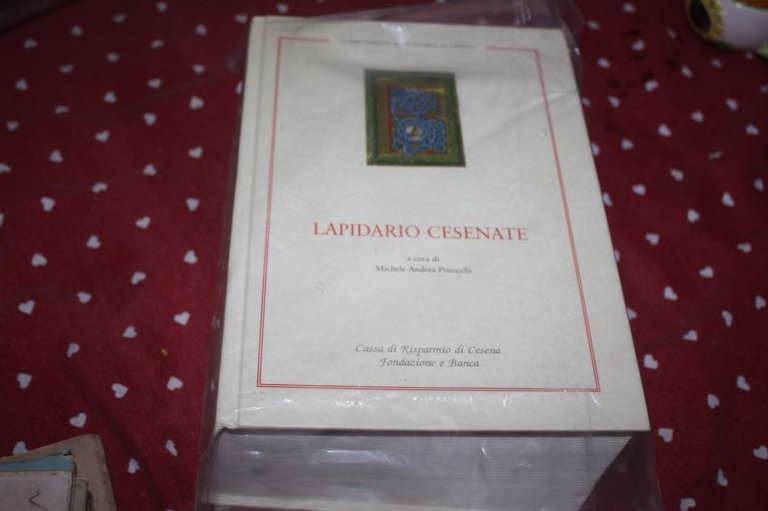 LAPIDARIO CESENATE A CURA DI MICHELE ANDREA PISTOCCHI CASSA DI …