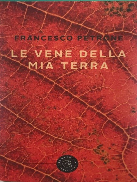 Le vene della mia terra - Petrone Francesco | Immagine Gallery 3
