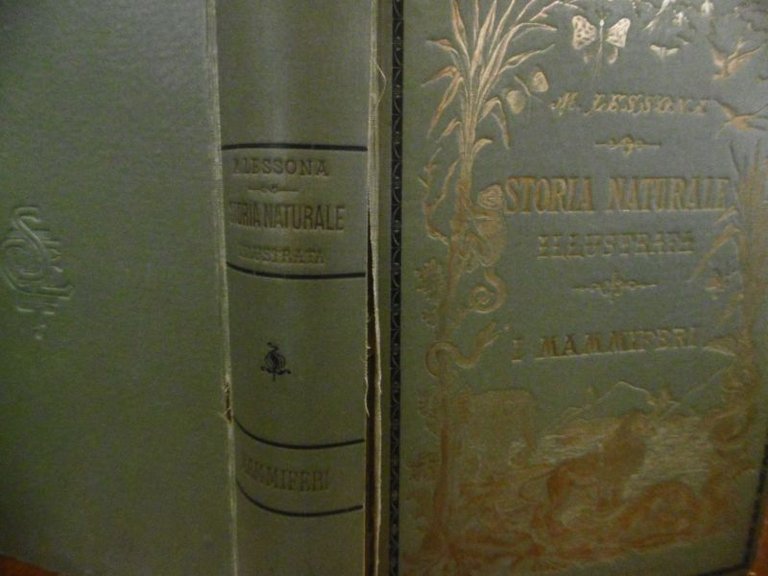 MICHELE LESSONA STORIA NATURALE I MAMMIFERI SONZOGNO 1905