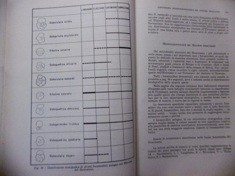 MIOCENE SIRACUSANO STRATIGRAFIA MICROPALEONTOLOGICA BOLLETTINO SOC.GEOLOGICA ITAL. 1958 FASCICOLO 1