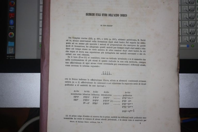 NUOVE SPECIE DI FUNGHI ED ALTRE CONOSCIUTE PROFESSORE GIUSEPPE INZENGA