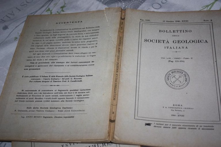 OSTREIDAE NEOCRETACEE DELLA TRIPOLITANIA TRATTO DA BOLLETTINO DELLA COIETA' DELLA …