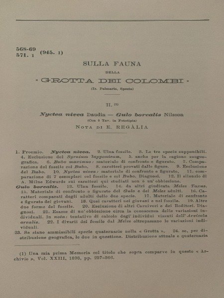 SULLA FAUNA DELLA GROTTA DEI COLOMBI ARCHIVIO L'ANTROLOPOGIA E LA …