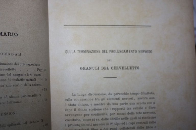 SULLA TERMINAZIONE DEL PROLUGAMENTO NERVOSO DEI GRANULI DEL CERVELETTO IL …