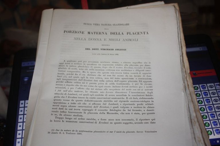 SULLA VERA NATURA GLANDOLARE NELLA DONNA E NEGLI ANIMALI VINCENZO …