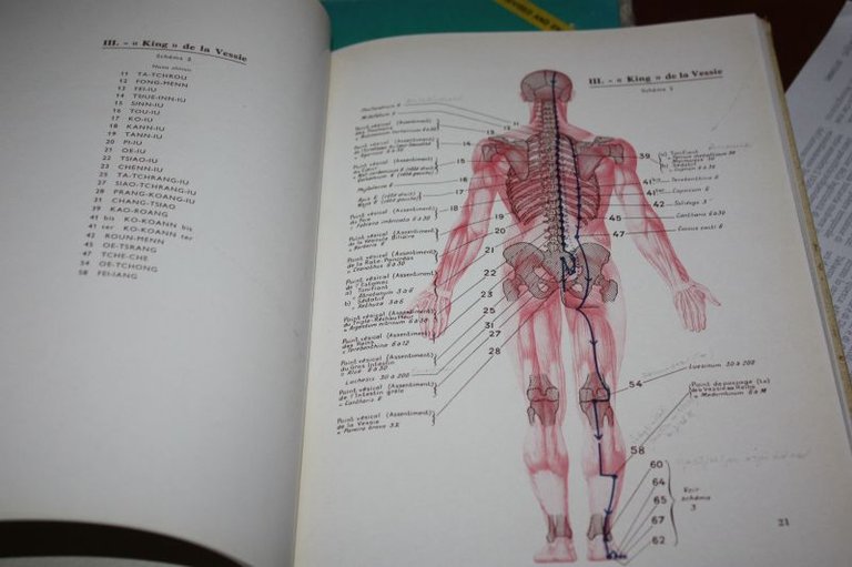 TRAITE' D'ACUPUNCTURE TOME II ROGER DE AL FUYE PARIS 1955 …