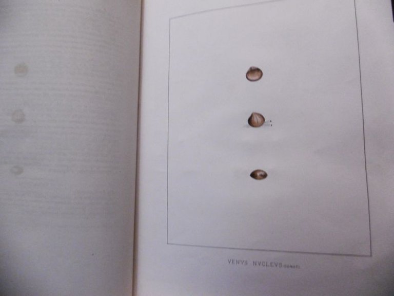 (FRANCESCHI Gianni) - La cucina degli anni facili. A tavola …