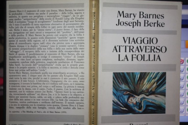 VIAGGIO ATTRAVERSO LA FOLLIA MARY BARNESJOSEPH BERKE RUSCONI