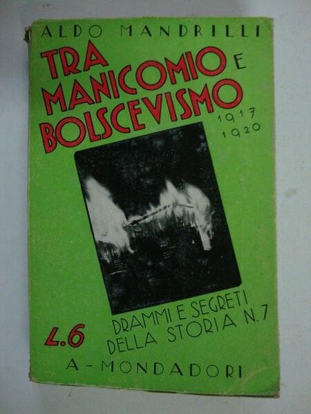 Tra manicomio e bolscevismo (1917 - 1920)