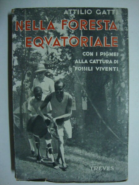 Nella foresta equatoriale