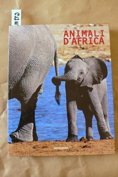 Animali d'Africa