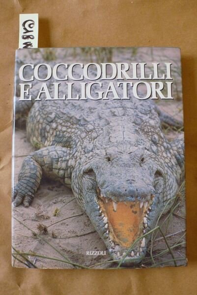 Coccodrilli e alligatori