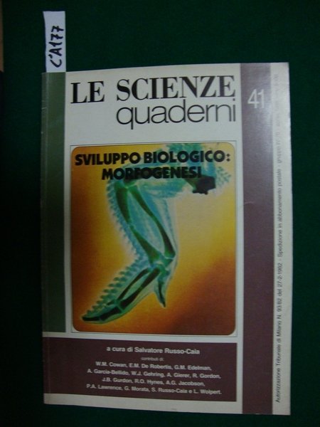 Sviluppo biologico: morfogenesi (periodico)