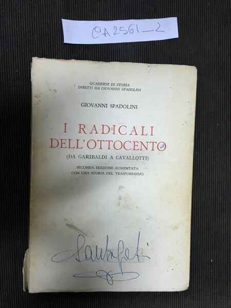 I Radicali dell'Ottocento (da Garibaldi a Cavallotti)