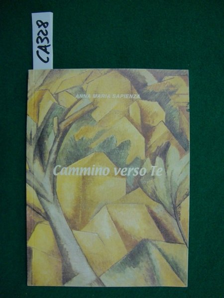 Cammino verso Te