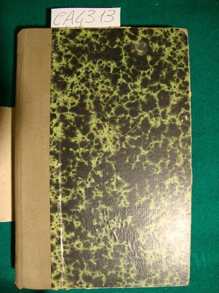 Senza famiglia - Romanzo