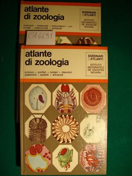 Atlante di zoologia (protozoi - poriferi - cnidari - ctenofori … | Immagine principale