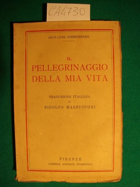 Il pellegrinaggio della mia vita